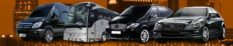 Transfer Service Lamporecchio PT