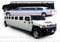 Stretch Limousine (Limo)