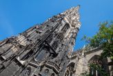 Viena